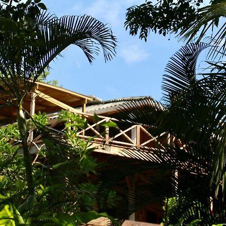Eden Jungle Lodge ボカス・タウン エクステリア 写真