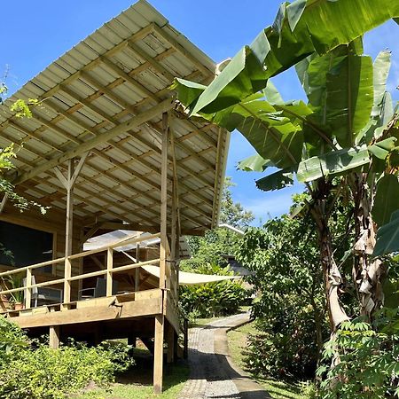 Eden Jungle Lodge ボカス・タウン エクステリア 写真