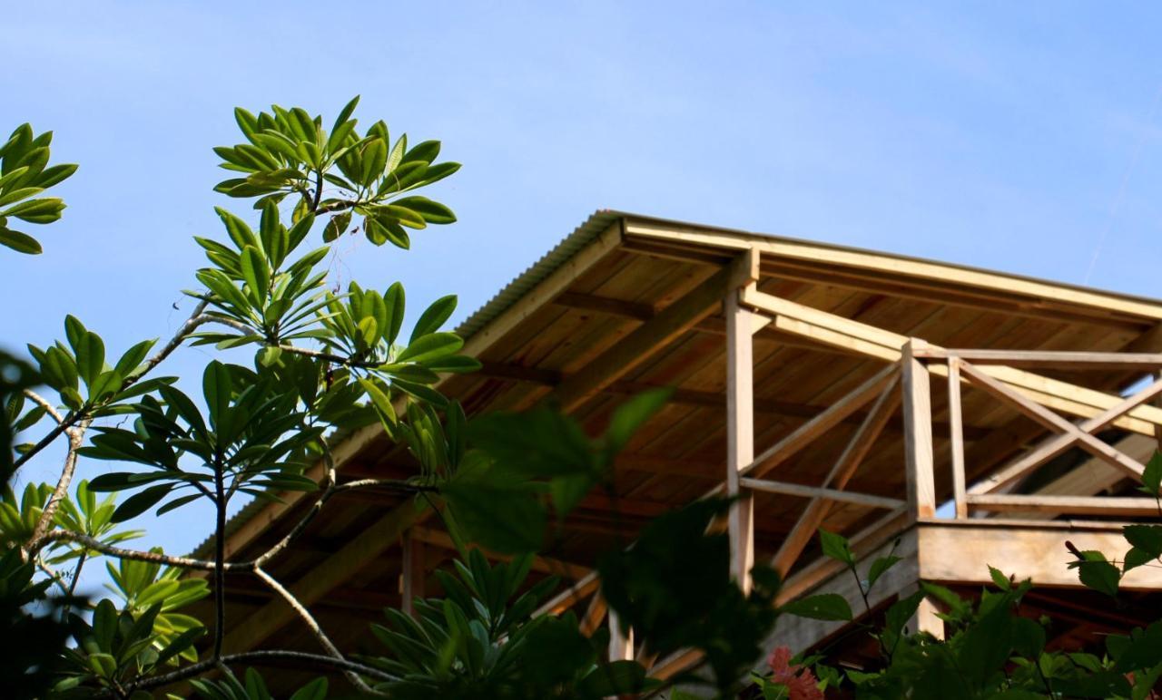 Eden Jungle Lodge ボカス・タウン エクステリア 写真