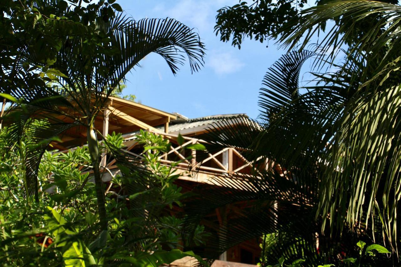 Eden Jungle Lodge ボカス・タウン エクステリア 写真