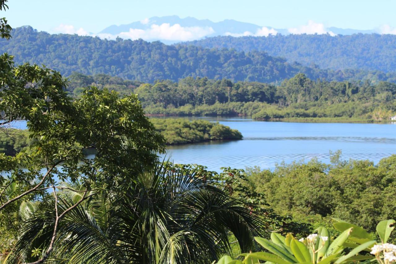Eden Jungle Lodge ボカス・タウン エクステリア 写真