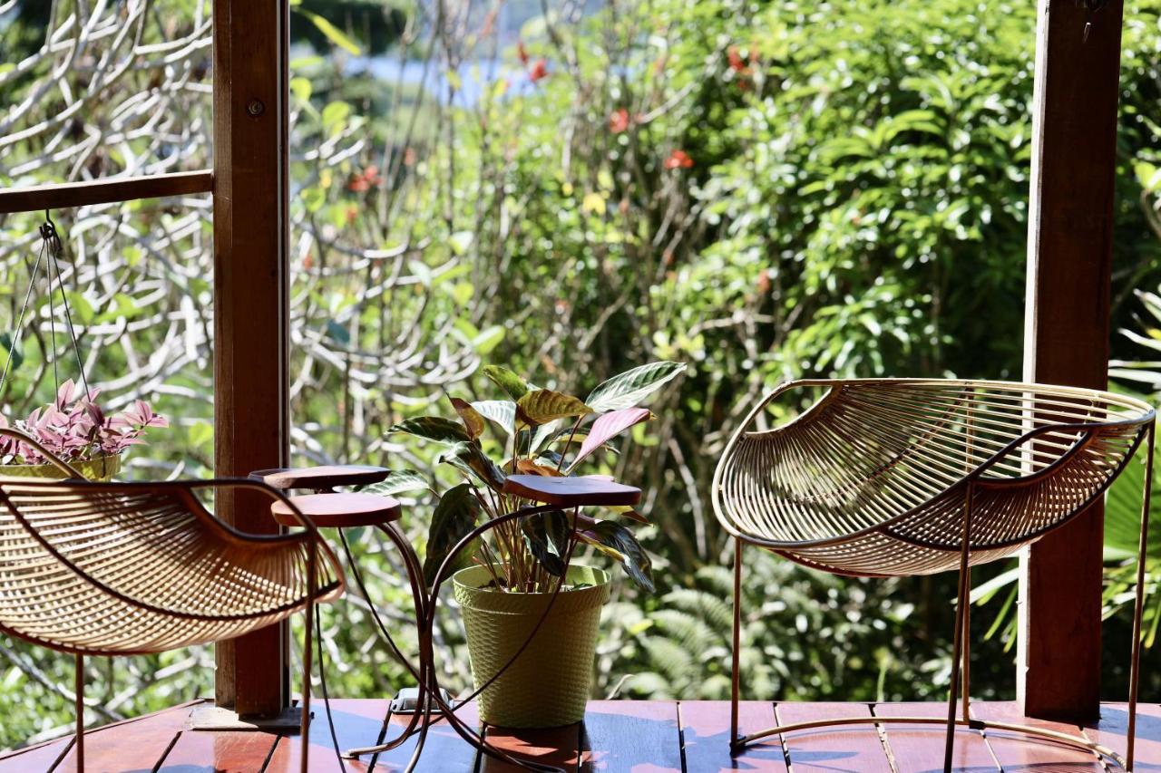 Eden Jungle Lodge ボカス・タウン エクステリア 写真