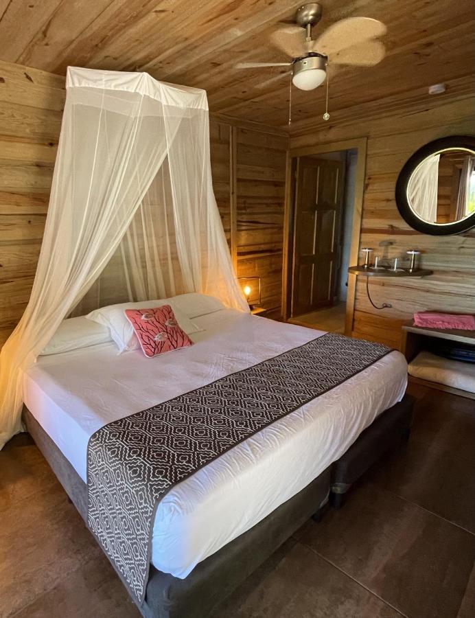 Eden Jungle Lodge ボカス・タウン エクステリア 写真