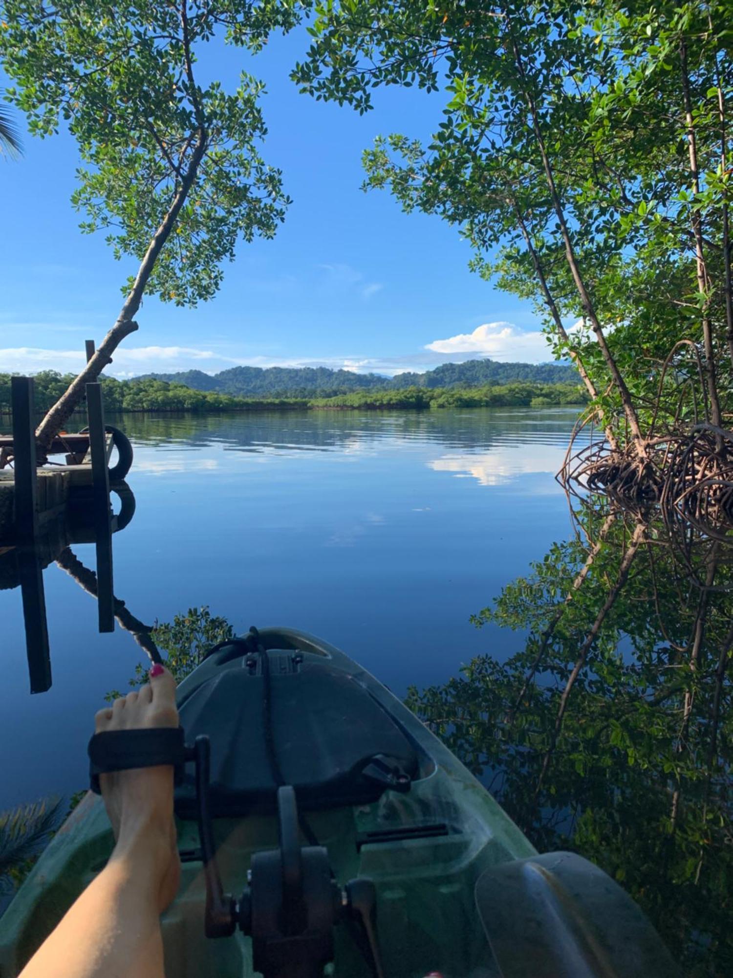 Eden Jungle Lodge ボカス・タウン エクステリア 写真