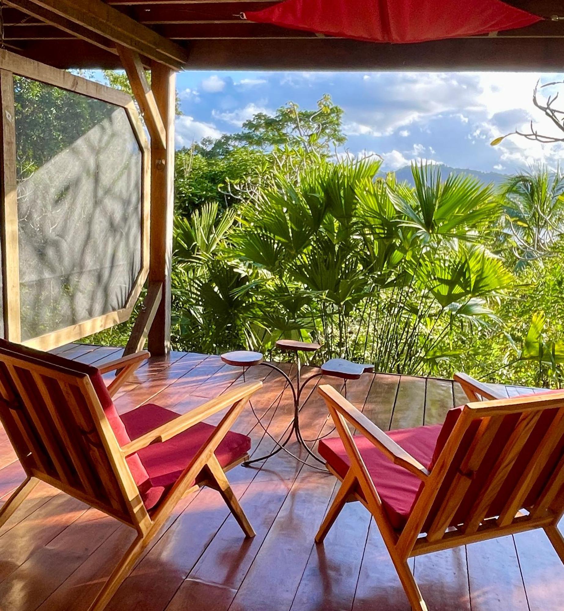 Eden Jungle Lodge ボカス・タウン エクステリア 写真