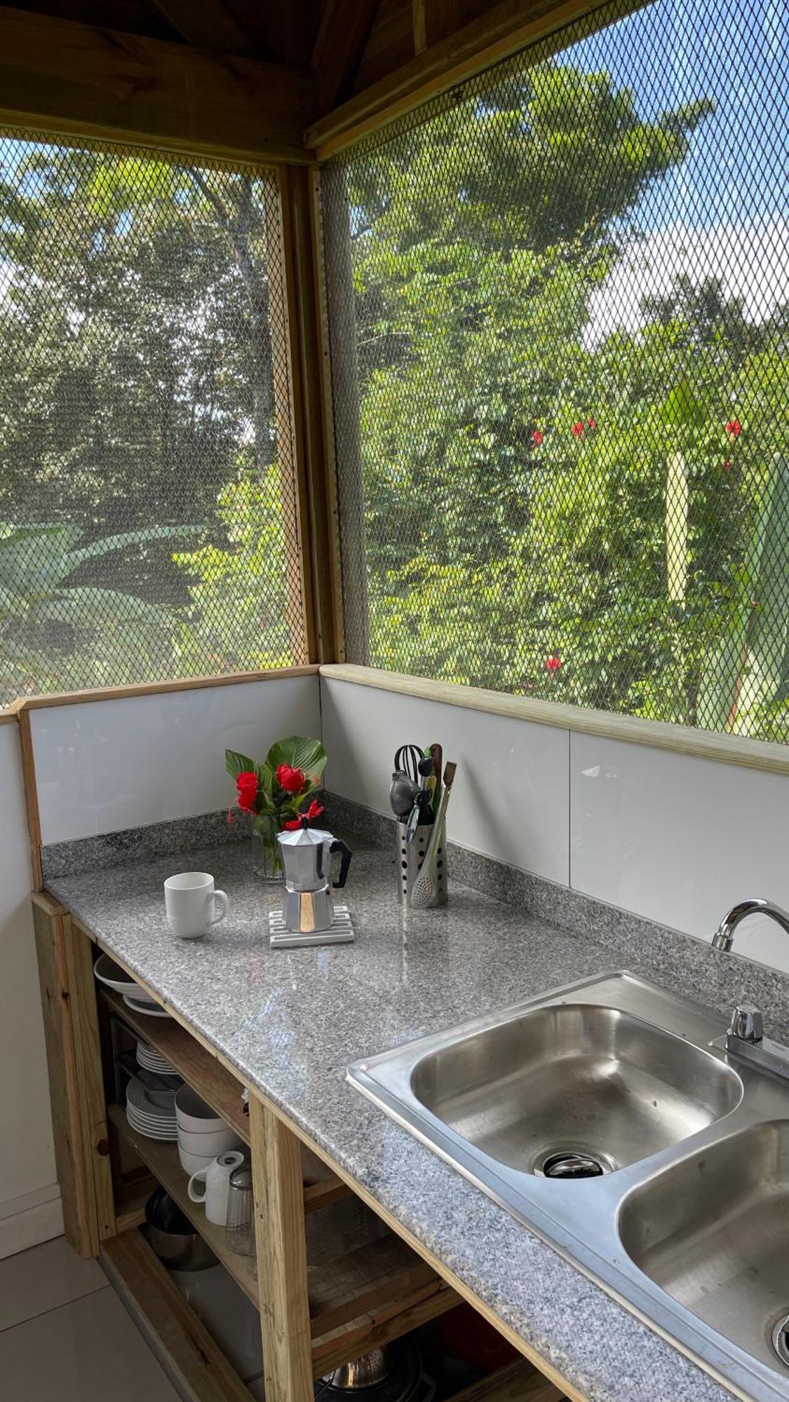 Eden Jungle Lodge ボカス・タウン エクステリア 写真