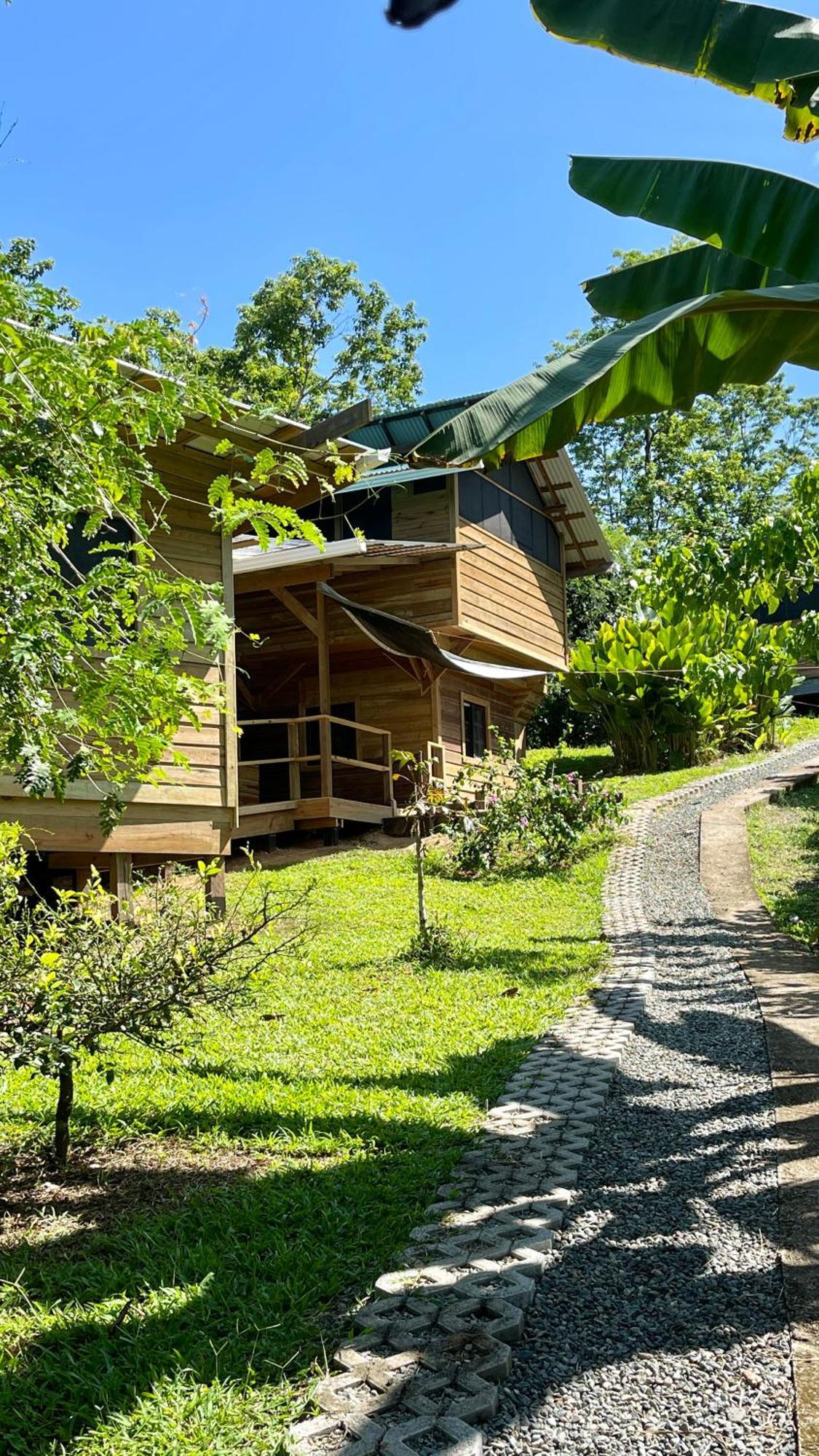 Eden Jungle Lodge ボカス・タウン エクステリア 写真