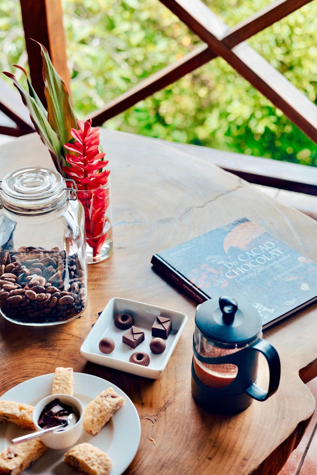 Eden Jungle Lodge ボカス・タウン エクステリア 写真