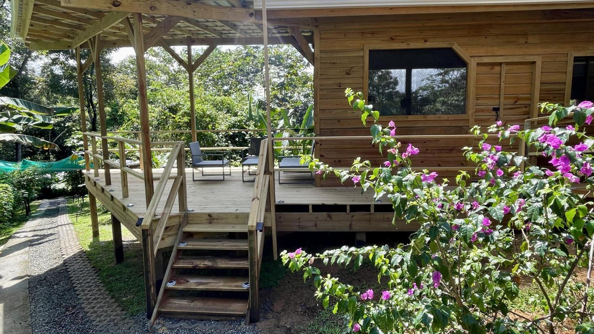 Eden Jungle Lodge ボカス・タウン エクステリア 写真