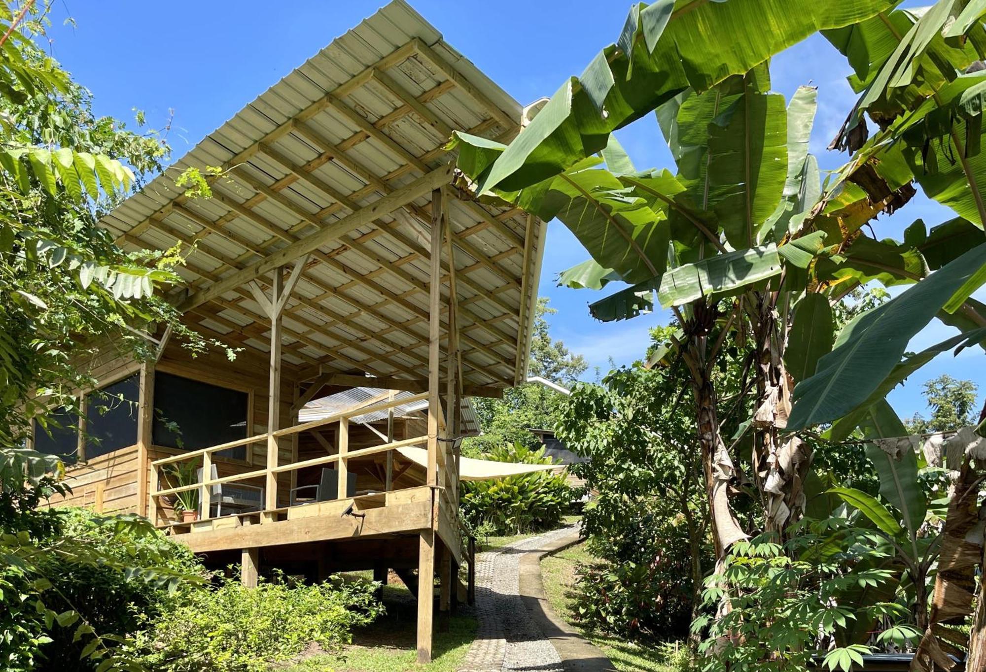 Eden Jungle Lodge ボカス・タウン エクステリア 写真