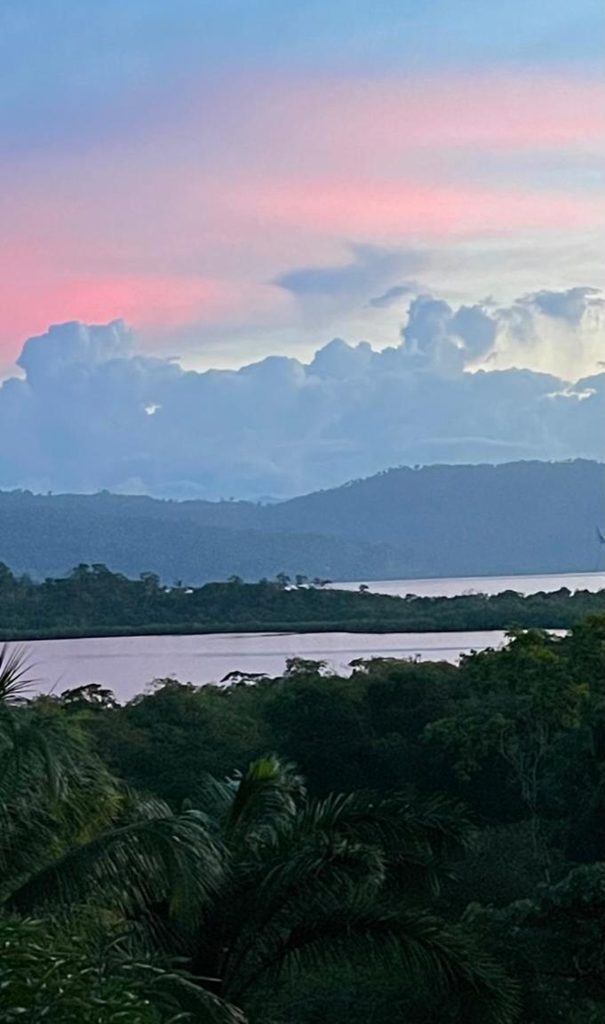 Eden Jungle Lodge ボカス・タウン エクステリア 写真