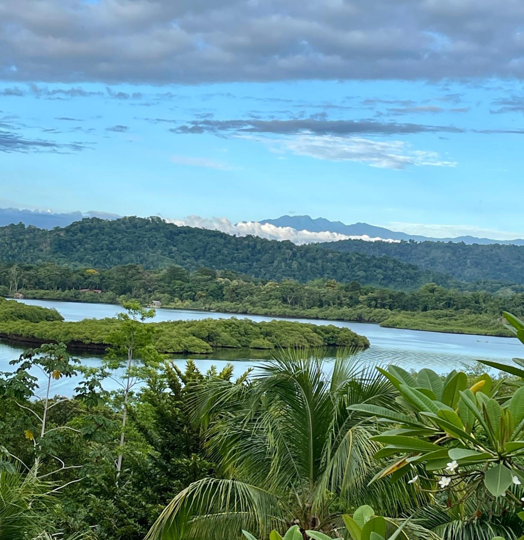 Eden Jungle Lodge ボカス・タウン エクステリア 写真